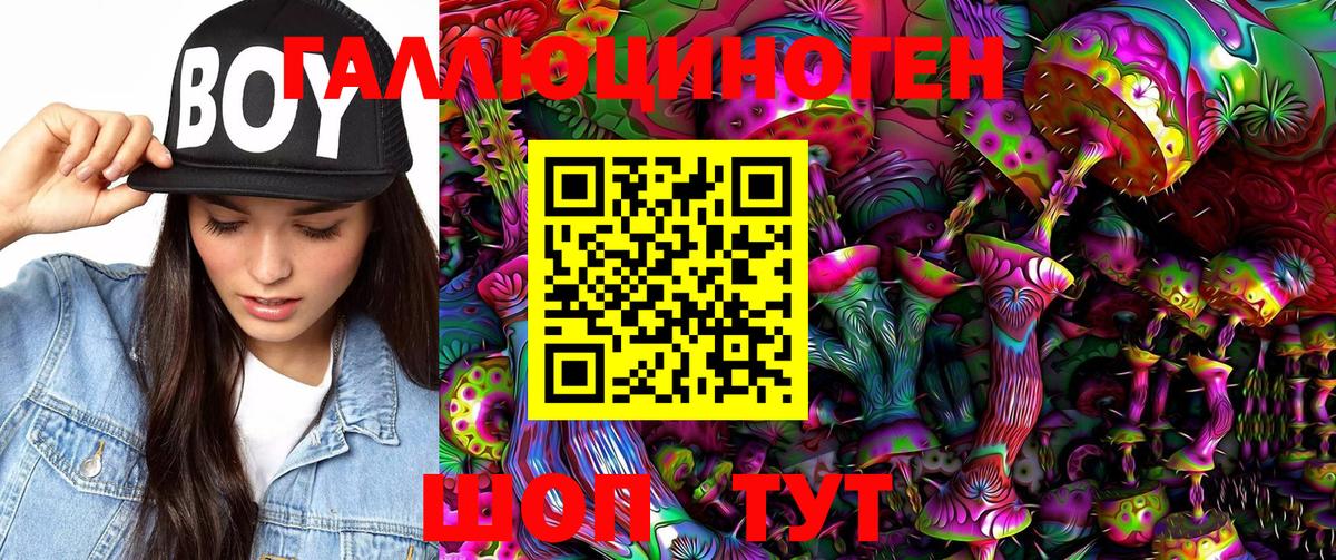 Галлюциногенные грибы Psilocybe Саров