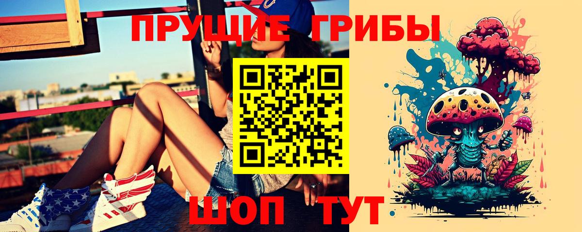 Псилоцибиновые грибы GOLDEN TEACHER  Вход с VPN  Саров 